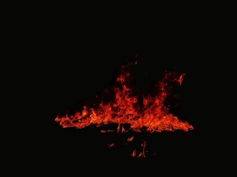 We were camping in the foothills of Sahyadri in Maharashtra. Sometime late in the night, we heard a crackling sound. When we peeped outside, a wildfire had broken out and was fast spreading. We had to move to higher grounds until we were safe from it.